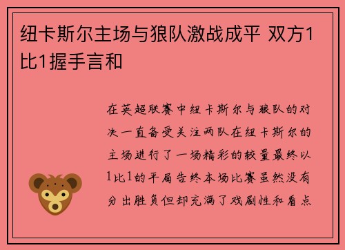 纽卡斯尔主场与狼队激战成平 双方1比1握手言和