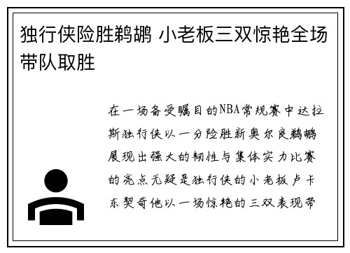 独行侠险胜鹈鹕 小老板三双惊艳全场带队取胜